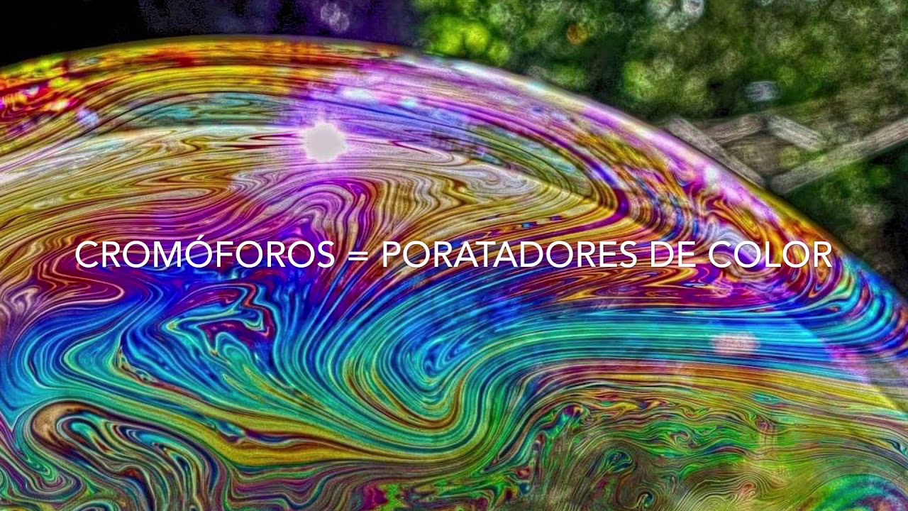 Porque Las Páginas De Los Libros Se Vuelven Amarillas