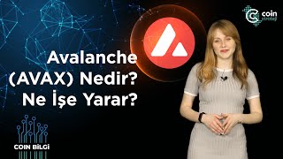 Avalanche Avax Nedir? Ne İşe Yarar? Coin Bilgi