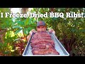 Freeze Dried BBQ Ribs With Shocking Results! | Harvest Right