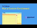 Enrich Millions of Rows: Custom Enrichments