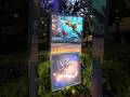 🎴 Disney Lorcana Photo Hunt at EPCOT | Festival of the Arts ✨