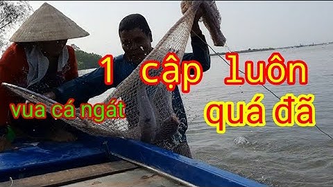 tập4  .chú sáu vua cá ngát ,hôm  sông tiền tiếp tục/1 cập luôn cả nhà ơi