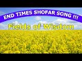 Blowing SHOFAR -|- Fields of WISDOM, END TIMES Song, End times music Shofar BLOWING !!!