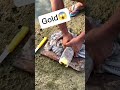 Mysterious octopus revealed unbelievable golden surprise 🌊😱#fishing #ytshorts #foryou
