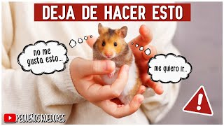 15 Cosas que tu hamster ODIA de TI