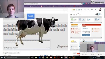 Reacting to "Google Translate goes nuts" by Random Typek