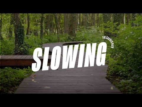 Walk in the Way of Slowing