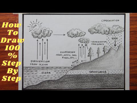 The Water Cycle Diagram | Quizlet