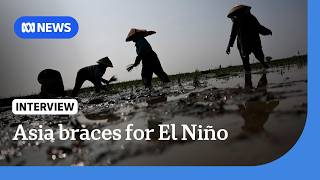 Asia braces for unpredictable El Niño weather | The World | ABC NEWS