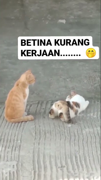 kuatkan iman kalian