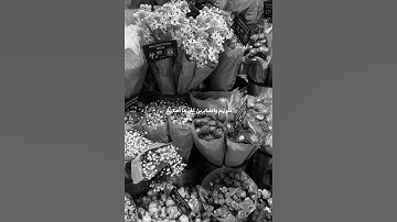 الحج - ماهِر المعيقلِي #قرآن #اكسبلور #سورة_الحج