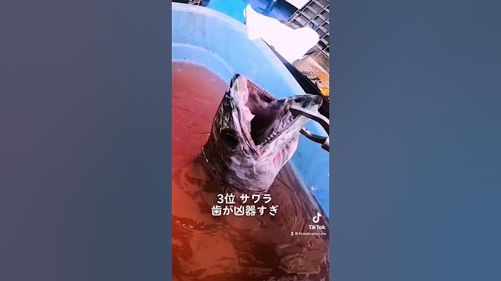 釣れたら注意、身近に釣れる危険生物TOP5 #shorts #short