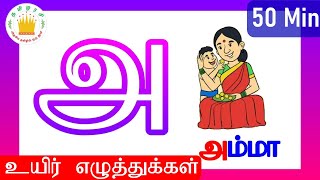 உயிர் எழுத்துக்கள்- Uyir Ezhuthukal | Learn Tamil Alphabets | Tamilarasi