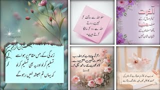 best Urdu quotes |aqwal e zareen new|gehri baatien |deeni baatien|best Urdu quotes mix