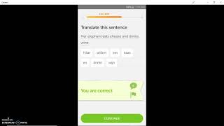 Professional Development Project - Dutch screenshot 4