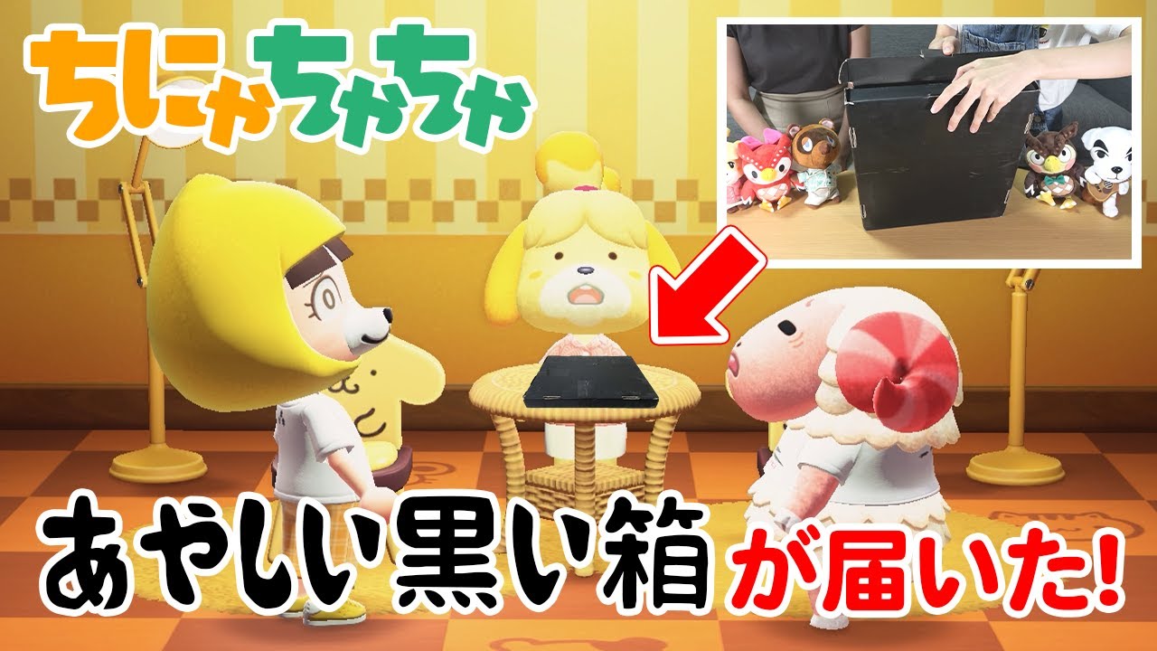 Animal Crossing: New Horizons Anime x Live-Action] I received a