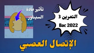كيف يؤثر السيناور على كمون الراحة ؟        الوحدة 5 : الإتصال العصبي ] .