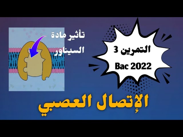 كيف يؤثر السيناور على كمون الراحة ؟        الوحدة 5 : الإتصال العصبي ] .