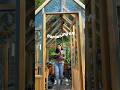 This is how you HARDEN OFF your seedlings