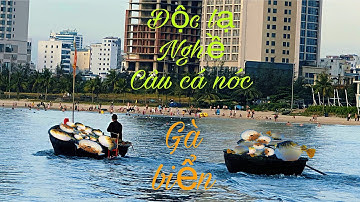 Nghề Câu Cá Nóc Bằng Rường Bất Quái, Cá Nóc Còn Gọi Là Gà Biển