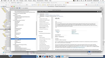 8 Objective-C UI - image model