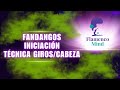 FANDANGOS Técnica Giros Cabeza Nivel Iniciación #fandangos #flamenco #aprenderabailar #tutorial
