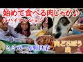 ビビちゃんが作った豚のミミガーの肉じゃがが美味しすぎた！