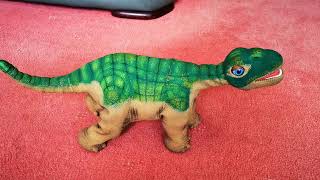Pleo with tail tip and neck bones replaced.