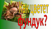Свое Поместье