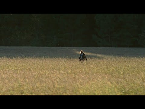 Wye Oak -