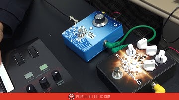 Synth Bass Line through Plasma Dynamo Distortion and Tidal Ebb Phaser Pedal