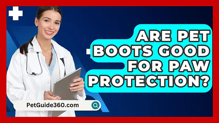Are Pet Boots Good For Paw Protection? - PetGuide360.com
