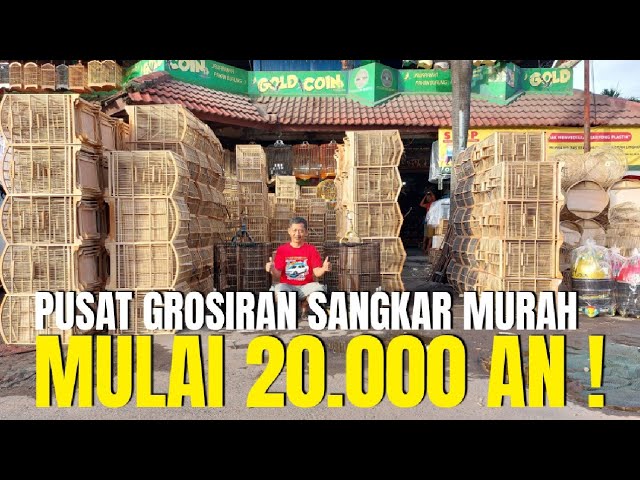 UPDATE HARGA SANGKAR TERBARU 2024 ! MULAI 20RB AN DI PASAR BURUNG PRAMUKA KIOS UDIN SANGKAR class=