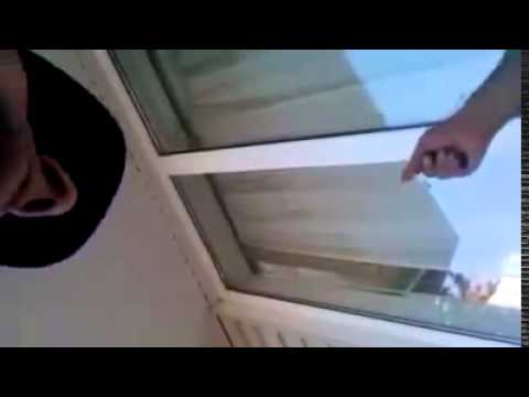 დობერმანი vs მარტიაშვილი! ყოჩაღ დობერმან!დებერმანა იწერს ყველას თანამებრძოლებს