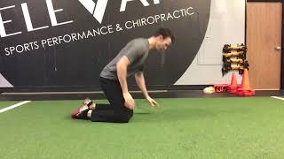 Quadruped hip disassociation