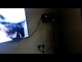 cute kitten watching tv through the window #cutecat #cutekitten #catlover #animallover