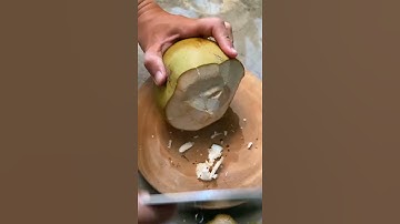 Bất ngờ với trái dừa xiêm lùn có dáng bầu ngộ nghĩnh.  #lùnvlog #coconut #shorts