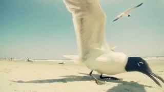 Devereaux - Bikini Official Music Video