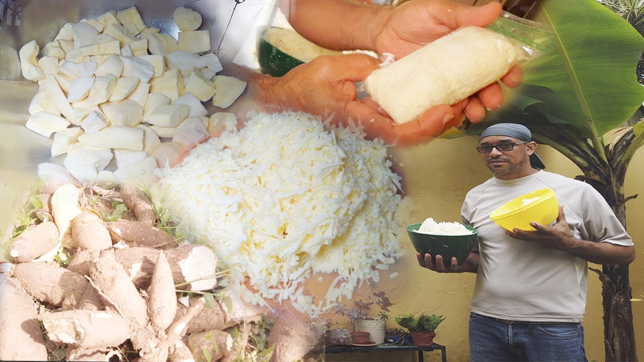 GUAYANDO YUCA y sacándole el ALMIDON para HACER CASABE, AREPITA, Y ...