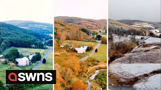 Stunning drone footage shows forest changing colours as seasons pass | SWNS