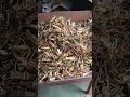 Box Buckle Packing