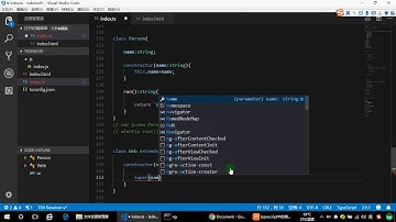 Typescript教程 Typescript视频教程 ts入门实战视频教程 2019年5月更新 P6  06 Typescript中的类  类的定义 继承