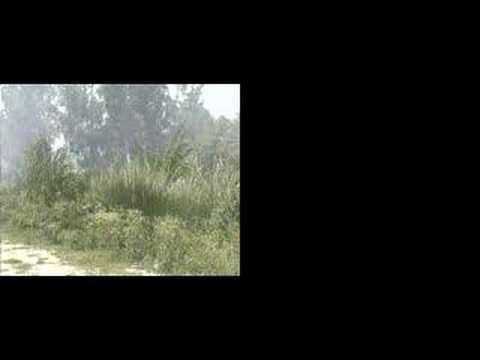 Foreground Extraction with Violent Background Motion