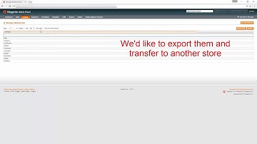How to Export Magento Attribute Sets, by eMagicOne
