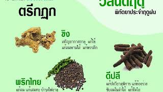 พิกัดตรีกฏุก