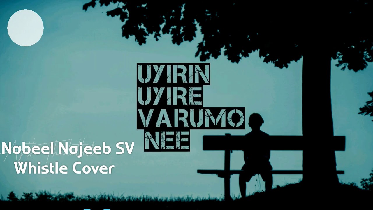 Akale Oru Thaarakamayen | Whistle Cover | WhatsApp Status | Nine | Lyrical