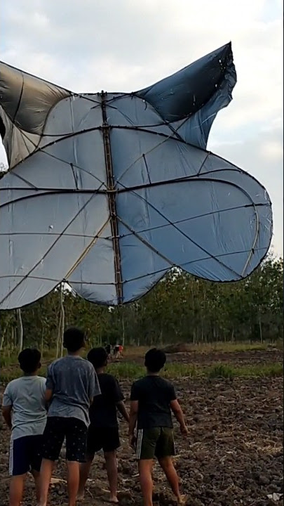 Layangan Celepuk raksasa sukses terbang #shortsviral #viralshortsvideo