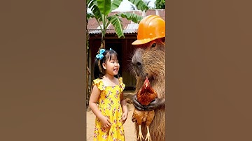 Capy mua gà cho bé nuôi và cái kết #capybara #vuive #giaitri