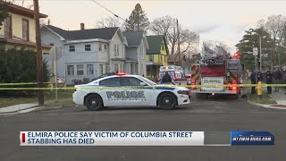 Victim of Elmira stabbing dies at local hospital, police say
