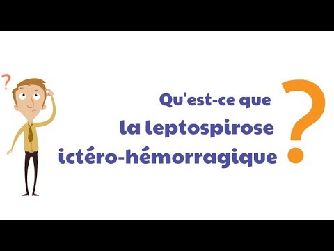 Vidéo: Pourquoi le test de leptospire est-il fait ?